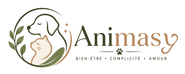 Animasy - Accueil