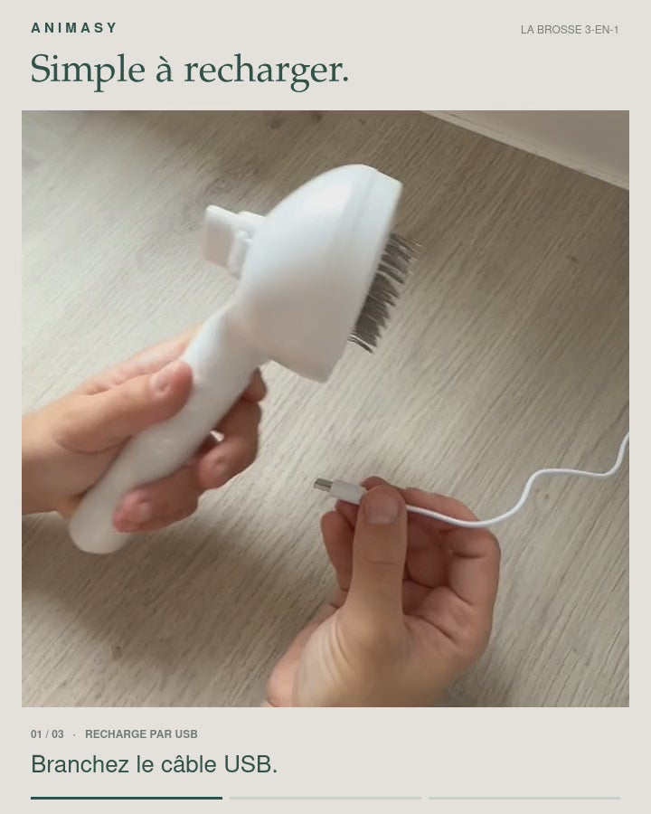 Préparez la brosse : branchement du câble de recharge USB.