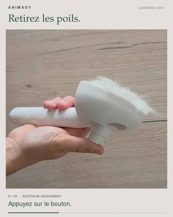 Appuyez sur le bouton et retirez les poils de la brosse de chez Animasy.