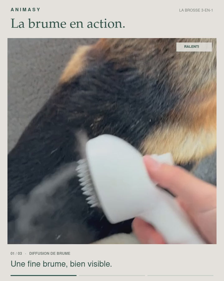 La brumisation et le brossage en douceur avec la brosse de chez Animasy.